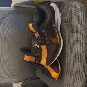 Nike Zoom X Pegasus 35